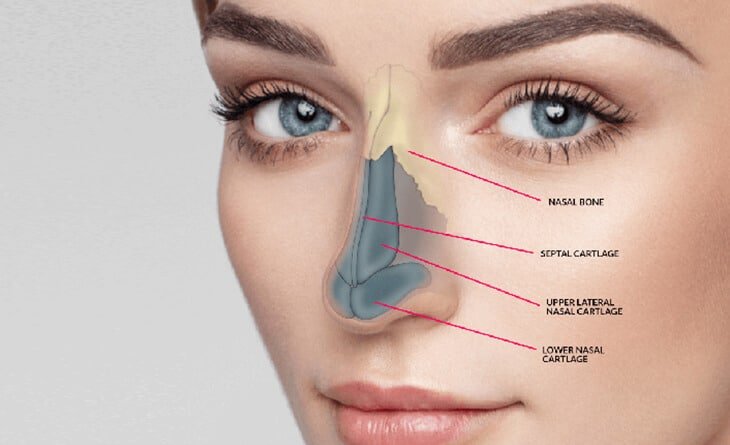 Rhinoplasty Surgery (Nose Job) Procedure Rhinoplasty Surgery (Nose Job) Procedure