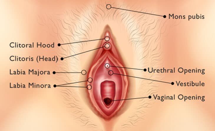 Female Genital Rejuvenation - Dr Rajat Gupta - Plastic Surgeon in Delhi -012 (1) Female Genital Rejuvenation