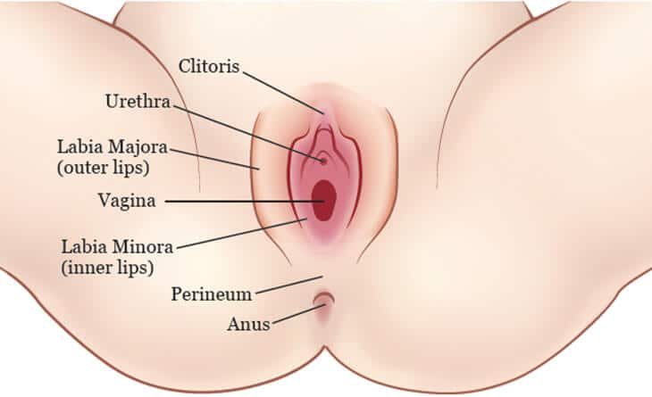 Female Genital Rejuvenation - Dr Rajat Gupta - Plastic Surgeon in Delhi -013 Female Genital Rejuvenation