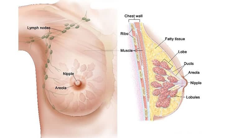 breast implant surgery with local anaesthesia- Dr Rajat Gupta - Plastic Surgeon in Delhi-99 breast implant surgery